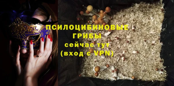 spice Ладушкин