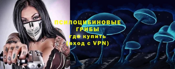 spice Ладушкин